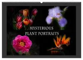 B-B Müller / CALVENDO |  Mysterious plant portraits (Wall Calendar 2026 DIN A2 landscape), CALVENDO 12 Month Wall Calendar | Sonstiges |  Sack Fachmedien