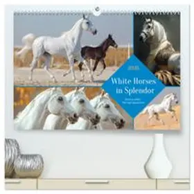 CALVENDO / Waurick |  White Horses in Splendor (High Quality Premium Wall Calendar 2026 DIN A2 landscape),CALVENDO 12 Month Wall Calendar | Sonstiges |  Sack Fachmedien