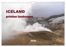 CALVENDO / Seidl |  ICELAND pristine landscapes (Wall Calendar 2026 DIN A4 landscape), CALVENDO 12 Month Wall Calendar | Sonstiges |  Sack Fachmedien