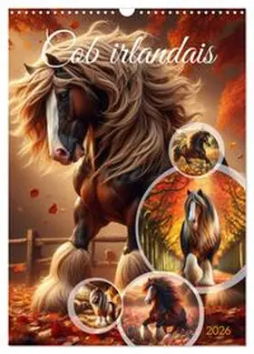 CALVENDO / Warstat |  Cob irlandais (Calendrier mural 2026 DIN A3 horizontal), CALVENDO calendrier mensuel | Sonstiges |  Sack Fachmedien