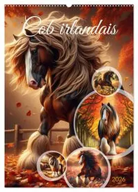 CALVENDO / Warstat |  Cob irlandais (Calendrier mural 2026 DIN A2 horizontal), CALVENDO calendrier mensuel | Sonstiges |  Sack Fachmedien