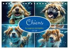 CALVENDO / Aupeix |  Chiens : les nageurs intrépides (Calendrier de bureau 2026 DIN A5 vertical), CALVENDO calendrier mensuel | Sonstiges |  Sack Fachmedien