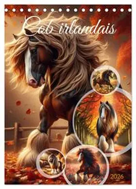 CALVENDO / Warstat |  Cob irlandais (Calendrier de bureau 2026 DIN A5 horizontal), CALVENDO calendrier mensuel | Sonstiges |  Sack Fachmedien