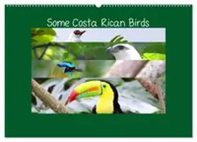 CALVENDO / Navarro |  Some Costa Rican Birds (Wall Calendar 2026 DIN A2 landscape), CALVENDO 12 Month Wall Calendar | Sonstiges |  Sack Fachmedien