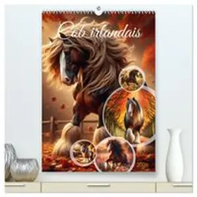 CALVENDO / Warstat |  Cob irlandais  (Calendrier mural 2026 DIN A2 horizontal) calendrier de bureau | Sonstiges |  Sack Fachmedien
