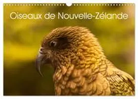 CALVENDO |  Oiseaux de Nouvelle-Zélande (Calendrier mural 2026 DIN A3 vertical), CALVENDO calendrier mensuel | Sonstiges |  Sack Fachmedien