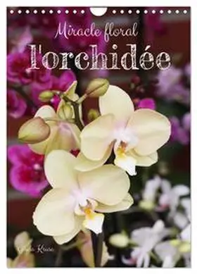 Kruse / CALVENDO |  Miracle floral l'orchidée (Calendrier mural 2026 DIN A4 horizontal), CALVENDO calendrier mensuel | Sonstiges |  Sack Fachmedien
