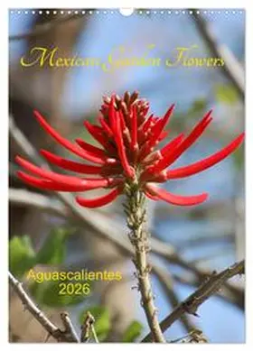 Gonzalez Burguete / CALVENDO |  Mexican Garden Flowers - Aguascalientes (Wall Calendar 2026 DIN A3 portrait), CALVENDO 12 Month Wall Calendar | Sonstiges |  Sack Fachmedien