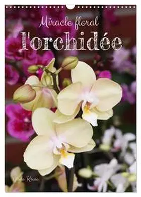Kruse / CALVENDO |  Miracle floral l'orchidée (Calendrier mural 2026 DIN A3 horizontal), CALVENDO calendrier mensuel | Sonstiges |  Sack Fachmedien