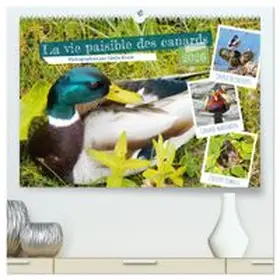 CALVENDO / Kruse |  La vie paisible des canards  (Calendrier mural 2026 DIN A2 vertical) calendrier de bureau | Sonstiges |  Sack Fachmedien