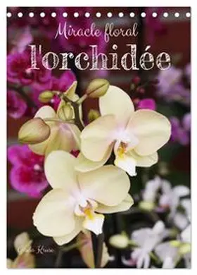 CALVENDO / Kruse |  Miracle floral l'orchidée (Calendrier de bureau 2026 DIN A5 horizontal), CALVENDO calendrier mensuel | Sonstiges |  Sack Fachmedien