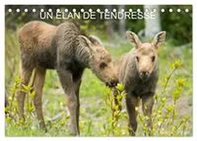 CALVENDO / Henry |  Un élan de tendresse (Calendrier de bureau 2026 DIN A5 vertical), CALVENDO calendrier mensuel | Sonstiges |  Sack Fachmedien