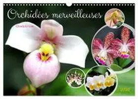 CALVENDO / Kruse |  Orchidées merveilleuses (Calendrier mural 2026 DIN A3 vertical), CALVENDO calendrier mensuel | Sonstiges |  Sack Fachmedien
