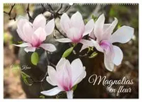 CALVENDO / Kruse |  Magnolias en fleur (Calendrier mural 2026 DIN A2 vertical), CALVENDO calendrier mensuel | Sonstiges |  Sack Fachmedien