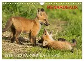 CALVENDO / Henry |  Renardeaux. Premiers pas sur la prairie (Calendrier mural 2026 DIN A4 vertical), CALVENDO calendrier mensuel | Sonstiges |  Sack Fachmedien