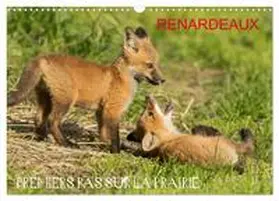 CALVENDO / Henry |  Renardeaux. Premiers pas sur la prairie (Calendrier mural 2026 DIN A3 vertical), CALVENDO calendrier mensuel | Sonstiges |  Sack Fachmedien