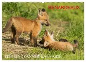 CALVENDO / Henry |  Renardeaux. Premiers pas sur la prairie (Calendrier mural 2026 DIN A2 vertical), CALVENDO calendrier mensuel | Sonstiges |  Sack Fachmedien