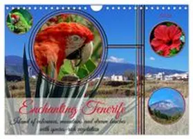 CALVENDO / Kleemann |  Enchanting Tenerife (Wall Calendar 2026 DIN A4 landscape), CALVENDO 12 Month Wall Calendar | Sonstiges |  Sack Fachmedien