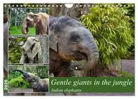 Kleemann / CALVENDO |  Gentle giants in the jungle (Wall Calendar 2026 DIN A4 landscape), CALVENDO 12 Month Wall Calendar | Sonstiges |  Sack Fachmedien