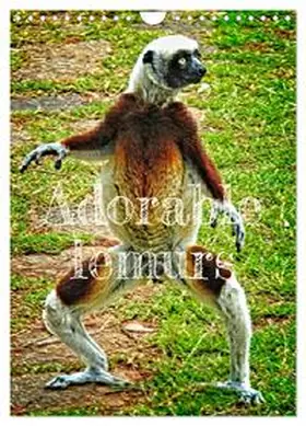 stegen / CALVENDO |  Adorable lemurs (Wall Calendar 2026 DIN A4 portrait), CALVENDO 12 Month Wall Calendar | Sonstiges |  Sack Fachmedien