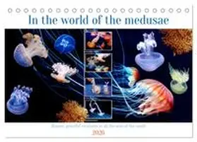 Kleemann / CALVENDO |  In the world of the medusae (Desk Calendar 2026 DIN A5 landscape), CALVENDO 12 Month DeskCalendar | Sonstiges |  Sack Fachmedien