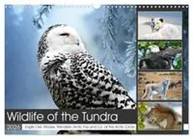 Kleemann / CALVENDO |  Wildlife of the Tundra (Wall Calendar 2026 DIN A3 landscape), CALVENDO 12 Month Wall Calendar | Sonstiges |  Sack Fachmedien