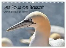 CALVENDO / Kohrt |  Fous de Bassan - Grands oiseaux marins (Calendrier mural 2026 DIN A3 vertical), CALVENDO calendrier mensuel | Sonstiges |  Sack Fachmedien