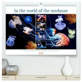 Kleemann / CALVENDO |  In the world of the medusae (High Quality Premium Wall Calendar 2026 DIN A2 landscape),CALVENDO 12 Month Wall Calendar | Sonstiges |  Sack Fachmedien