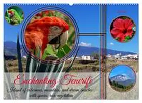 CALVENDO / Kleemann |  Enchanting Tenerife (Wall Calendar 2026 DIN A2 landscape), CALVENDO 12 Month Wall Calendar | Sonstiges |  Sack Fachmedien