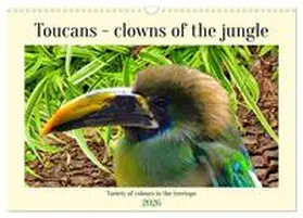 Kleemann / CALVENDO |  Toucans - clowns of the jungle (Wall Calendar 2026 DIN A3 landscape), CALVENDO 12 Month Wall Calendar | Sonstiges |  Sack Fachmedien