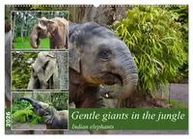 Kleemann / CALVENDO |  Gentle giants in the jungle (Wall Calendar 2026 DIN A2 landscape), CALVENDO 12 Month Wall Calendar | Sonstiges |  Sack Fachmedien