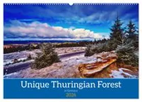 CALVENDO / Irmer |  Unique Thuringian Forest (Wall Calendar 2026 DIN A2 landscape), CALVENDO 12 Month Wall Calendar | Sonstiges |  Sack Fachmedien