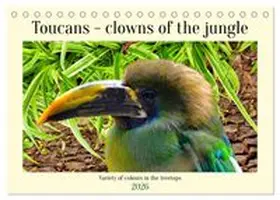 CALVENDO / Kleemann |  Toucans - clowns of the jungle (Desk Calendar 2026 DIN A5 landscape), CALVENDO 12 Month DeskCalendar | Sonstiges |  Sack Fachmedien
