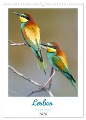 Gaymard / CALVENDO |  Lesbos l'île aux oiseaux (Calendrier mural 2026 DIN A3 horizontal), CALVENDO calendrier mensuel | Sonstiges |  Sack Fachmedien