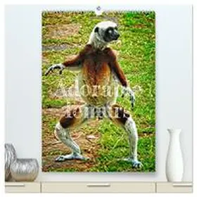 stegen / CALVENDO |  Adorable lemurs (High Quality Premium Wall Calendar 2026 DIN A2 portrait),CALVENDO 12 Month Wall Calendar | Sonstiges |  Sack Fachmedien