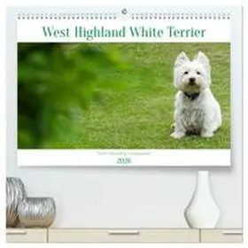 Rohde / CALVENDO |  West Highland White Terrier - Your charming companion (High Quality Premium Wall Calendar 2026 DIN A2 landscape),CALVENDO 12 Month Wall Calendar | Sonstiges |  Sack Fachmedien