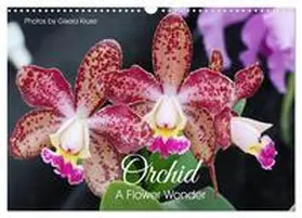 Kruse / CALVENDO |  Orchid - A Flower Wonder (Wall Calendar 2026 DIN A3 landscape), CALVENDO 12 Month Wall Calendar | Sonstiges |  Sack Fachmedien