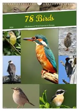 CALVENDO / Bucher |  78 Birds (Wall Calendar 2026 DIN A3 portrait), CALVENDO 12 Month Wall Calendar | Sonstiges |  Sack Fachmedien