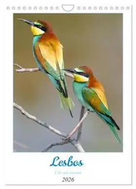 Gaymard / CALVENDO |  Lesbos l'île aux oiseaux (Calendrier mural 2026 DIN A4 horizontal), CALVENDO calendrier mensuel | Sonstiges |  Sack Fachmedien