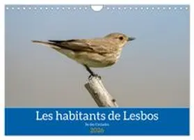 CALVENDO / Gaymard |  Les habitants de Lesbos Ile des cyclades (Calendrier mural 2026 DIN A4 vertical), CALVENDO calendrier mensuel | Sonstiges |  Sack Fachmedien