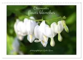 Kruse / CALVENDO |  Charmantes fleurs blanches (Calendrier mural 2026 DIN A3 vertical), CALVENDO calendrier mensuel | Sonstiges |  Sack Fachmedien