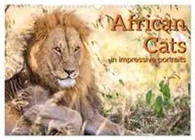 CALVENDO / Gerd-Uwe Neukamp |  African Cats in impressive portraits (Wall Calendar 2026 DIN A3 landscape), CALVENDO 12 Month Wall Calendar | Sonstiges |  Sack Fachmedien