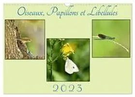 MEURANT / CALVENDO |  Oiseaux, Papillons et Libellules (Calendrier mural 2026 DIN A3 vertical), CALVENDO calendrier mensuel | Sonstiges |  Sack Fachmedien