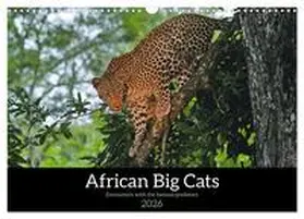Wolf / CALVENDO |  African Big Cats (Wall Calendar 2026 DIN A3 landscape), CALVENDO 12 Month Wall Calendar | Sonstiges |  Sack Fachmedien
