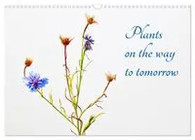 Stenner / CALVENDO |  Plants on the way to tomorrow (Wall Calendar 2026 DIN A3 landscape), CALVENDO 12 Month Wall Calendar | Sonstiges |  Sack Fachmedien