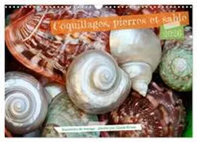 CALVENDO / Kruse |  Coquillages, pierres et sable (Calendrier mural 2026 DIN A3 vertical), CALVENDO calendrier mensuel | Sonstiges |  Sack Fachmedien