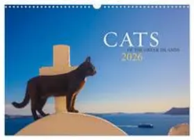 Krutz / CALVENDO |  Cats of the Greek Islands (Wall Calendar 2026 DIN A3 landscape), CALVENDO 12 Month Wall Calendar | Sonstiges |  Sack Fachmedien