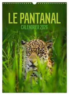 CALVENDO / Krutz |  Le Pantanal (Calendrier mural 2026 DIN A3 horizontal), CALVENDO calendrier mensuel | Sonstiges |  Sack Fachmedien