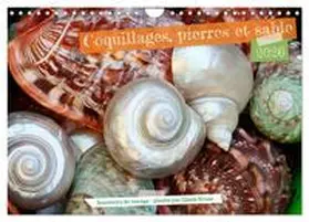 Kruse / CALVENDO |  Coquillages, pierres et sable (Calendrier mural 2026 DIN A4 vertical), CALVENDO calendrier mensuel | Sonstiges |  Sack Fachmedien