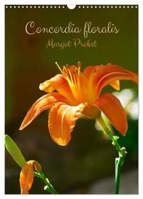 Probst / CALVENDO |  Concordia floralis (Calendrier mural 2026 DIN A3 horizontal), CALVENDO calendrier mensuel | Sonstiges |  Sack Fachmedien